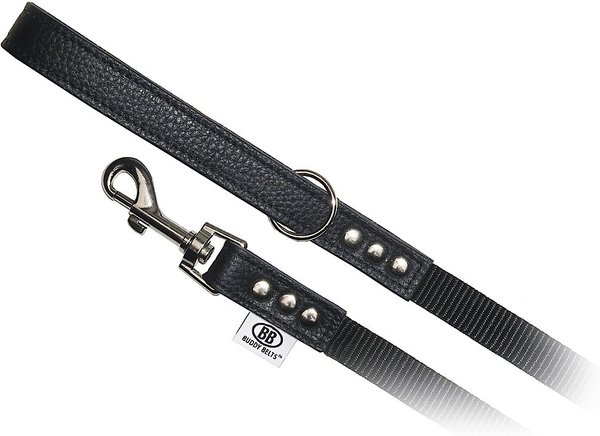 Buddy Belts Accent Leather & Nylon Dog Leash, Premium Black, 4-ft long, 3/4-in wide slide 1 of 1