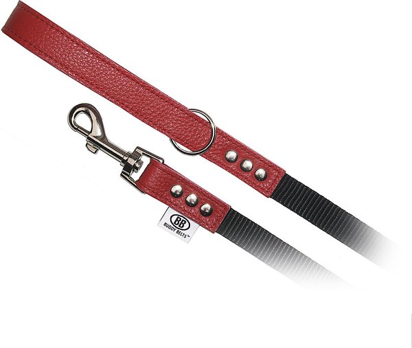 Buddy Belts Accent Leather & Nylon Dog Leash, Premium Red, 4-ft long, 3/4-in wide slide 1 of 1