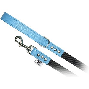 Buddy Belts Accent Leather & Nylon Dog Leash, Premium Blue, 4-ft long, 3/4-in wide