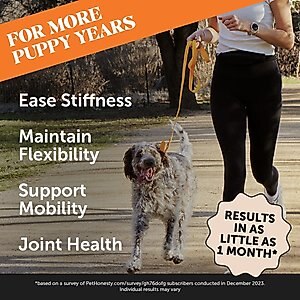 PetHonesty Advanced Hip + Joint Chicken Flavored Soft Chews Joint Supplement for Dogs, 90 count