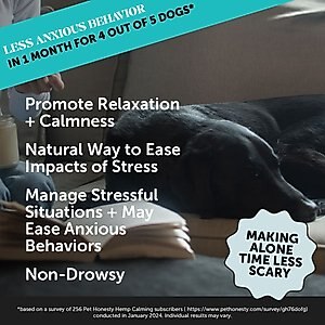 PetHonesty Calming Hemp Chicken Flavored Soft Chews Supplement for Dogs, 90 count