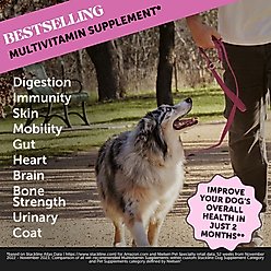 PetHonesty Multivitamin 10-in-1 Chicken Flavored Soft Chews Multivitamin for Dogs, 90-count slide 2 of 8