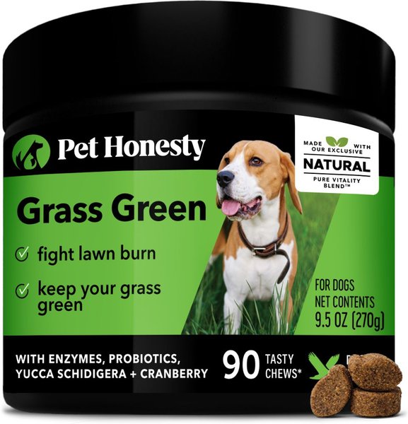 PetHonesty Grass Green Duck Flavored Soft Chew Digestive & Lawn Protection Supplement for Dogs, 90 count slide 1 of 11