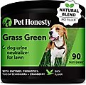PetHonesty Grass Green Duck Flavored Soft Chew Digestive & Lawn Protection Supplement for Dogs, 90 count