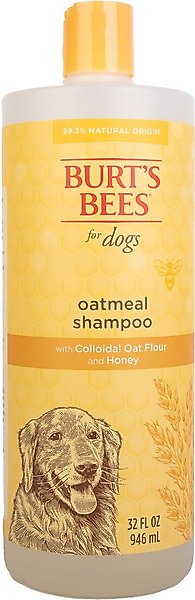 Burt's Bees Oatmeal with Colloidal Oat Flour & Honey Dog Shampoo, 32-oz bottle slide 1 of 7
