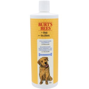 Burt's Bees Itch Soothing Honeysuckle Shampoo, 32-oz bottle