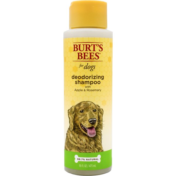 BURT'S BEES Lavender & Green Tea Calming Dog Shampoo, 16fl oz bottle