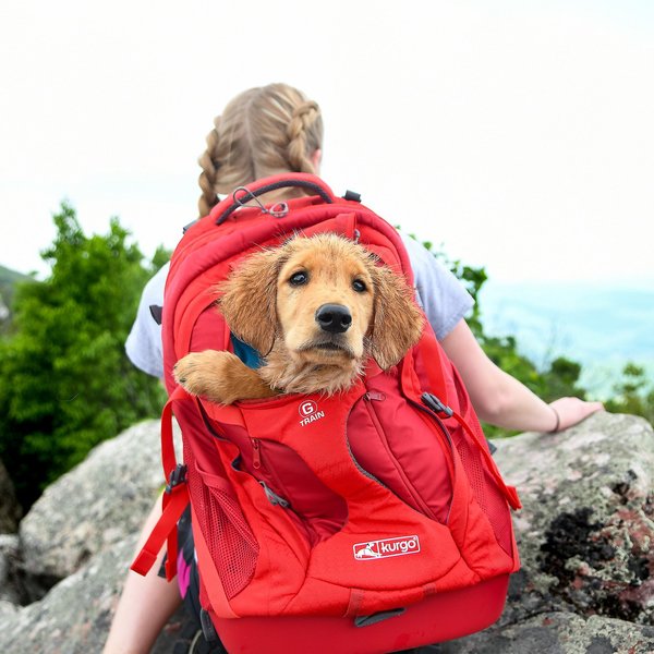 Kurgo G-Train Dog Carrier Backpack, Red slide 1 of 8