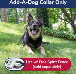 Free Spirit In-Ground Fence Add-A-Dog Collar slide 2 of 6