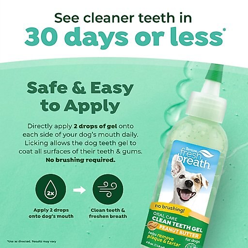 TropiClean Fresh Breath Oral Care Clean Teeth Peanut Butter Flavor Dog Dental Gel, 4-oz bottle