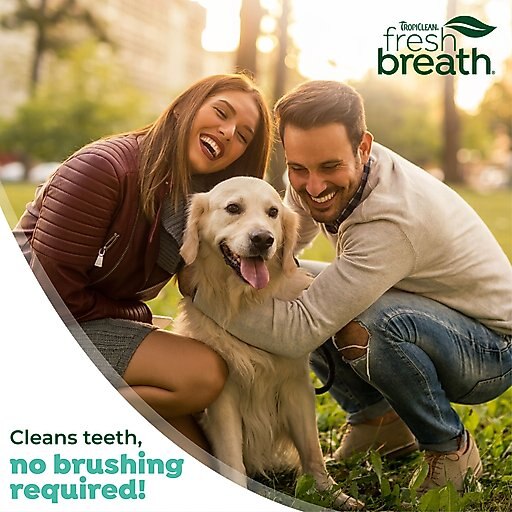 TropiClean Fresh Breath Oral Care Clean Teeth Peanut Butter Flavor Dog Dental Gel, 4-oz bottle