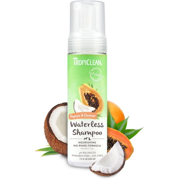 JOHN PAUL PET Oatmeal Waterless Foam Pet Shampoo, 8.5oz bottle