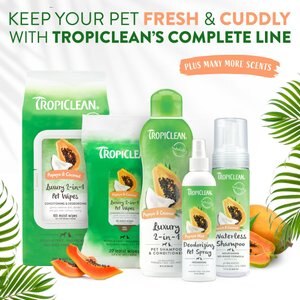 TropiClean Waterless Papaya & Coconut Dog & Cat Shampoo, 7.4-oz