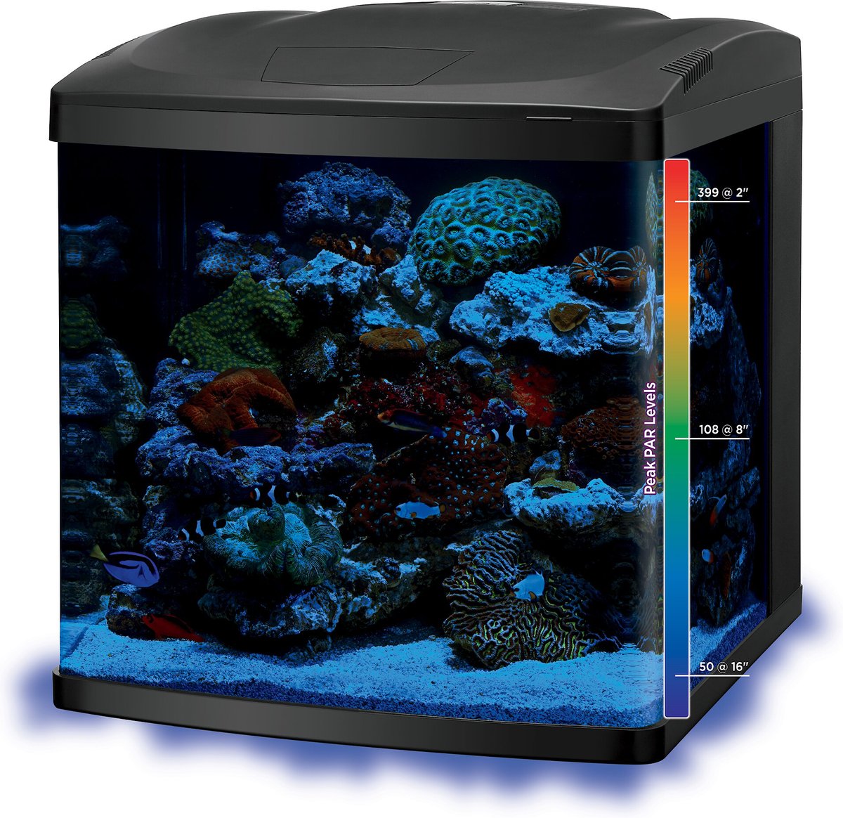 Saltwater hotsell tank kit