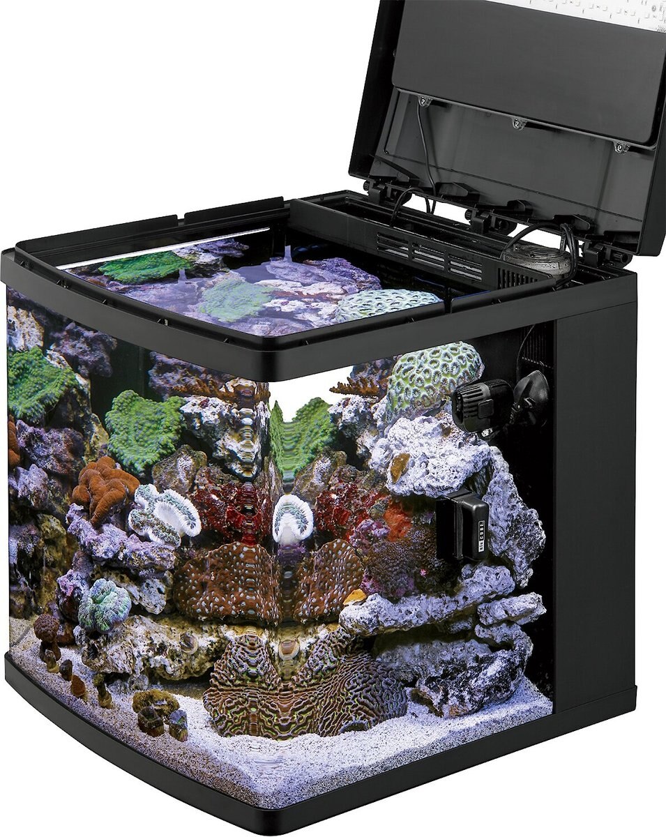 Out of Stock - CORALIFE LED BioCube Aquarium Kit, 32-gal - Chewy.com