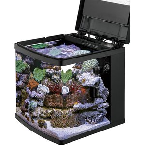 10 Best Fish Tanks & Aquariums 2024: According to Reviews | Chewy