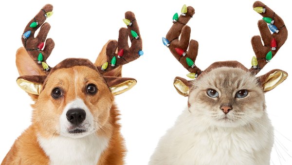 Frisco Holiday LED Antler Headband Dog & Cat Costume, Small/Medium slide 1 of 6