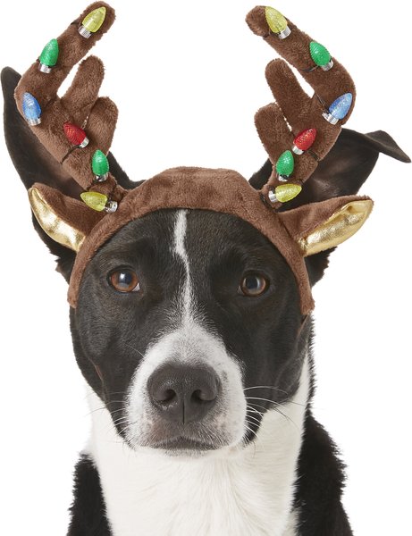 Frisco Holiday LED Antler Headband Dog & Cat Costume, Large/X-Large slide 1 of 5