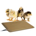 K&H Pet Products Thermo-Peep Heated Pad