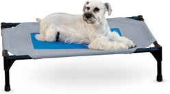 K&H Pet Products Coolin' Pet Cot Elevated Pet Bed, Medium