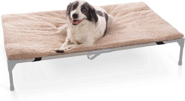 Cot style dog bed best sale