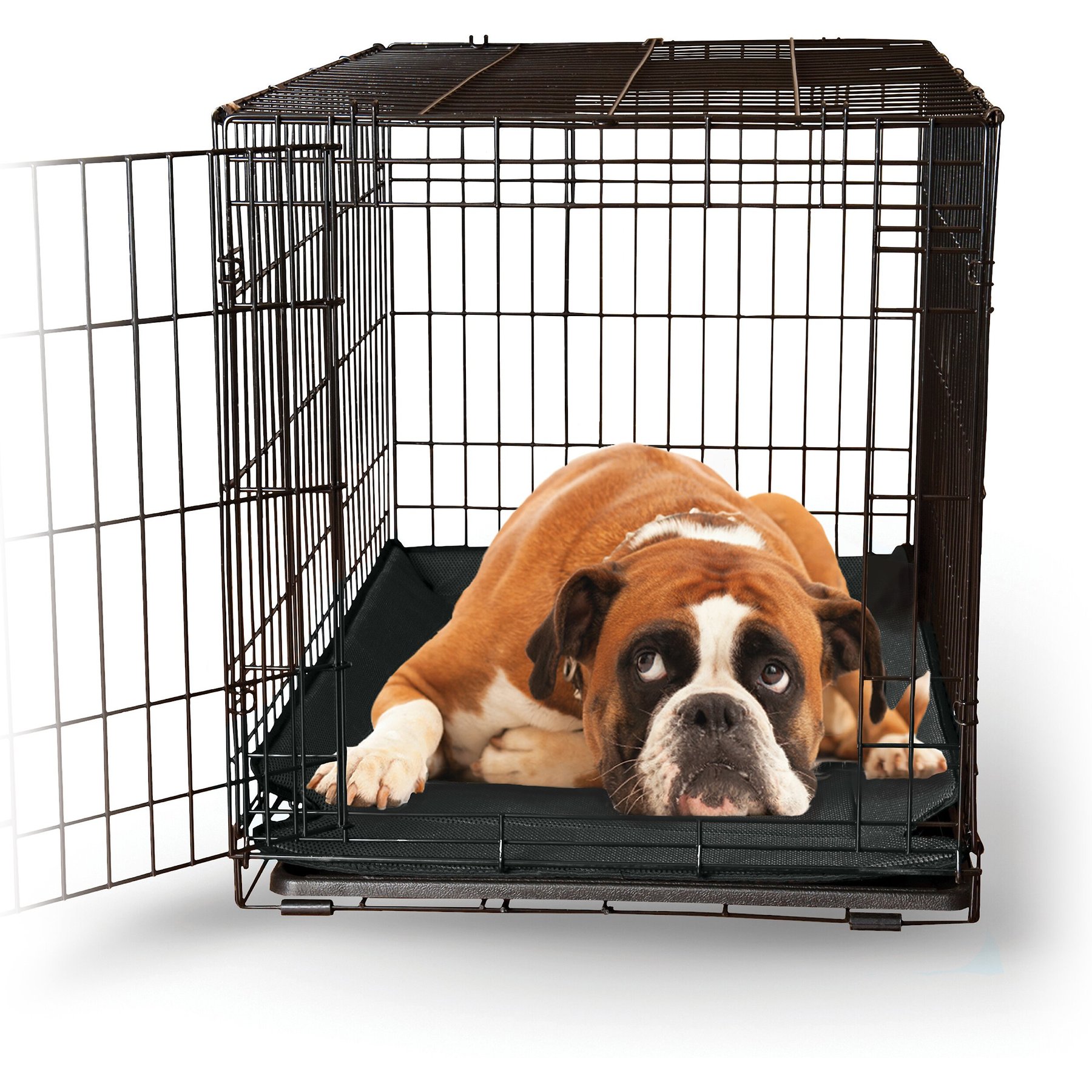 K&H Pet Products K&H Pet Products Odor-Control Dog Crate Pad, Large