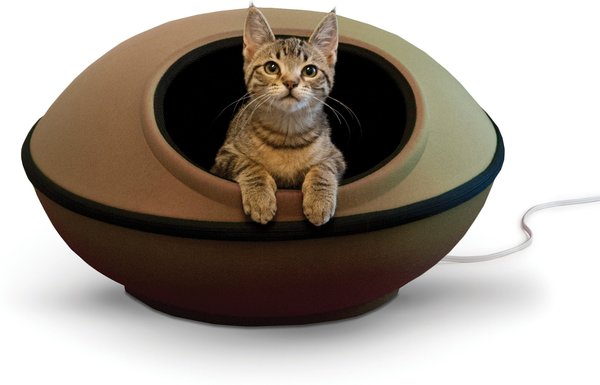 Chewy heated cat outlet bed