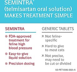 Semintra (telmisartan) Oral Solution for Cats, 10 mg/mL, 35-mL slide 2 of 9