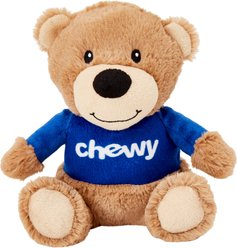 Frisco Chewy Bear Plush Squeaky Dog Toy, Medium