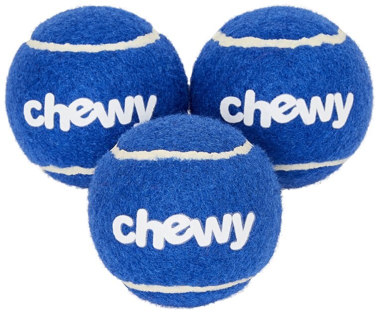 FRISCO Fetch Squeaky Chewy Tennis Ball Dog Toy, 3 count