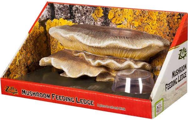 Zilla Vertical Decor Mushroom Feeding Ledge slide 1 of 3
