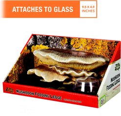 Zilla Vertical Decor Mushroom Feeding Ledge slide 2 of 5