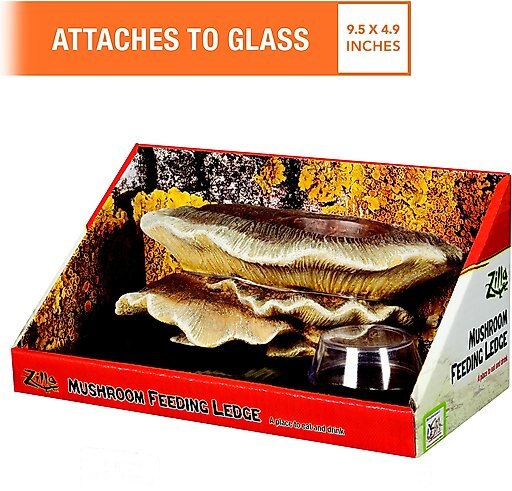 Zilla Vertical Decor Mushroom Feeding Ledge
