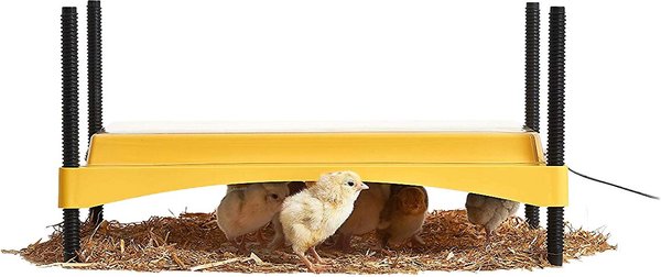 Brinsea EcoGlow Safety 1200 Chick & Duckling Brooder slide 1 of 4