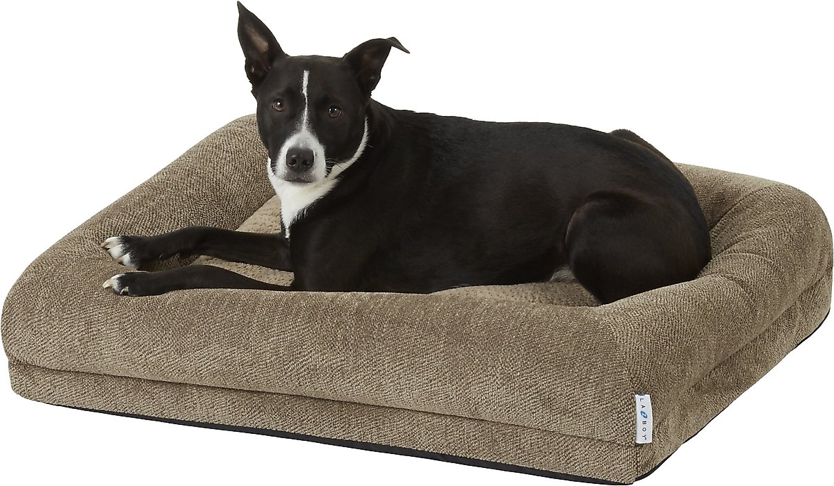 LA-Z-BOY Rosie Lounger Bolster Dog Bed with Removable Cover, Taupe - Chewy.com