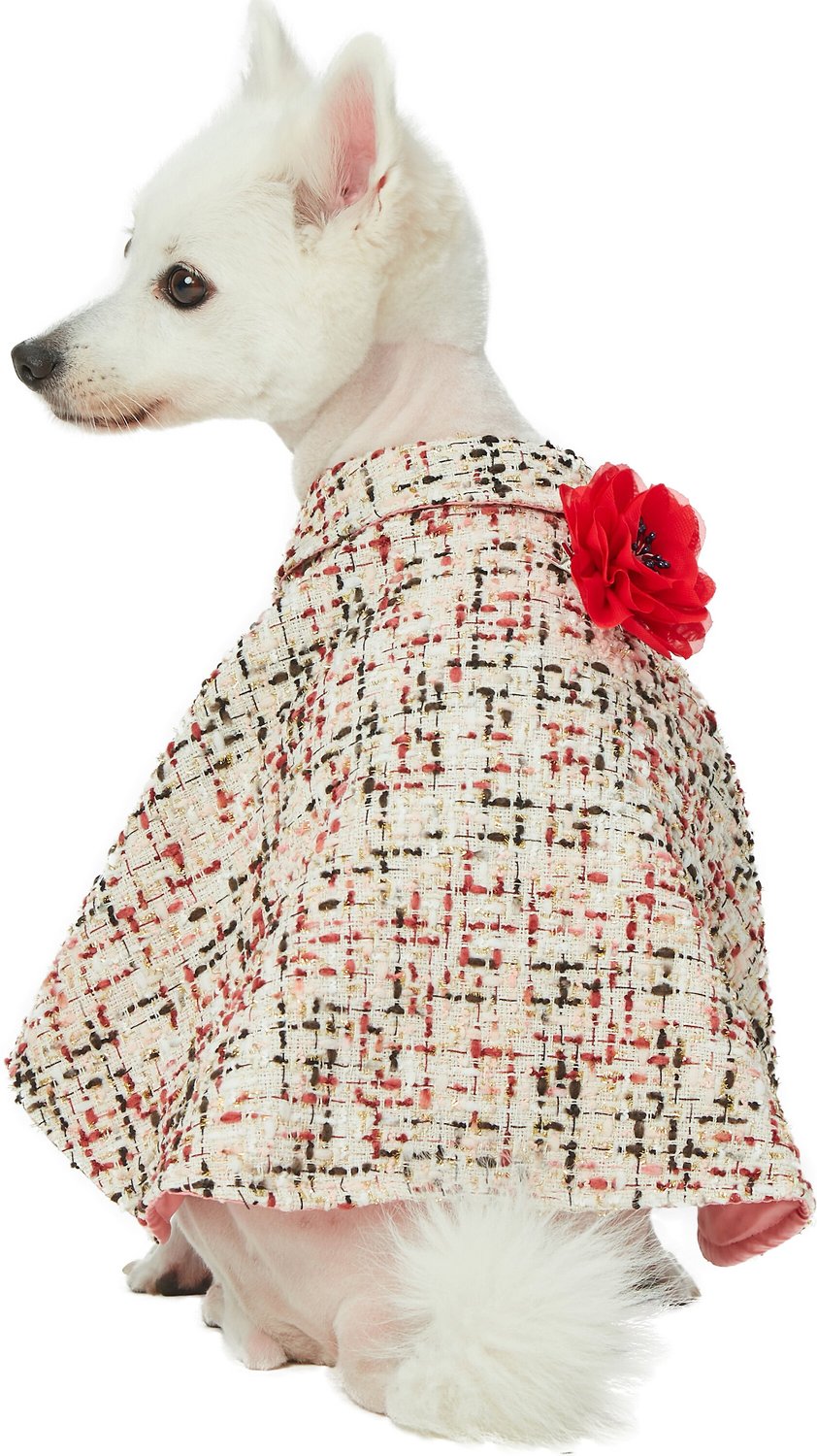 Blueberry Pet Multi-Color Dog Poncho