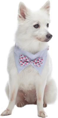 Show full view: Blueberry Pet Scottish Tartan Scarf Dog Collar, Multi-Color, Medium slide 4 of 6