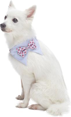 Show full view: Blueberry Pet Scottish Tartan Scarf Dog Collar, Multi-Color, Medium slide 5 of 6