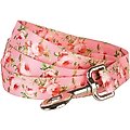 Blueberry Pet Floral Rose Polyester Dog Leash, Baby Pink, Large: 4-ft long, 1-in wide