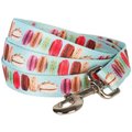 Blueberry Pet Macaroon Polyester Dog Leash, X-Small: 5-ft long, 3/8-in wide