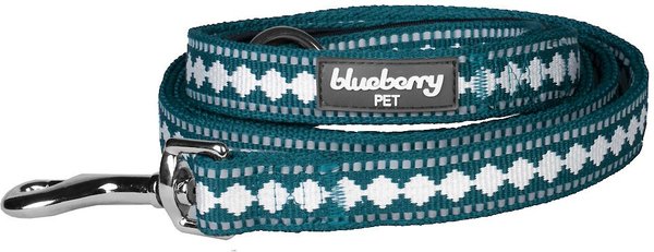 Blueberry Pet 3M Jacquard Nylon Reflective Dog Leash, Teal Blue, Medium: 5-ft long, 3/4-in wide slide 1 of 5