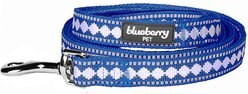 Blueberry Pet 3M Jacquard Nylon Reflective Dog Leash, Palace Blue, Small: 5-ft long, 5/8-in wide