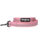 Blueberry Pet 3M Pastel Polyester Reflective Dog Leash, Baby Pink, Small: 5-ft long, 5/8-in wide