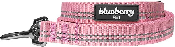 Blueberry Pet 3M Pastel Polyester Reflective Dog Leash, Baby Pink, Large: 4-ft long, 1-in wide slide 1 of 5