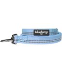 Blueberry Pet 3M Pastel Polyester Reflective Dog Leash, Baby Blue, Medium: 5-ft long, 3/4-in wide