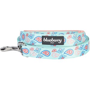 Blueberry Pet Spring Paisley Flower Polyester Dog Leash, Pastel Blue, Large: 4-ft long, 1-in wide