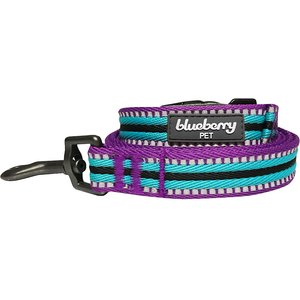 Blueberry Pet 3M Striped Polyester Reflective Dog Leash, Violet & Celeste, Small: 5-ft long, 5/8-in wide