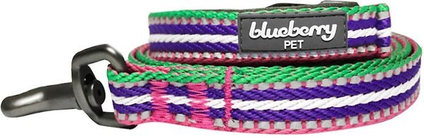 Blueberry Pet 3M Striped Polyester Reflective Dog Leash, Pink, Medium: 5-ft long, 3/4-in wide slide 1 of 5