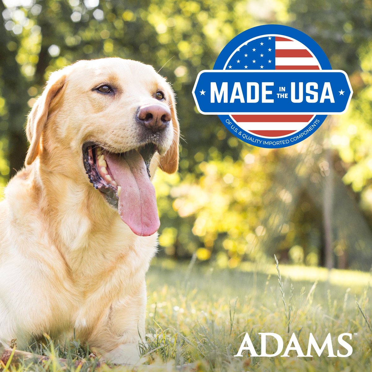 ADAMS Plus Flea Tick Collar for Dogs Puppies 2 Collars 12 mos. supply Chewy