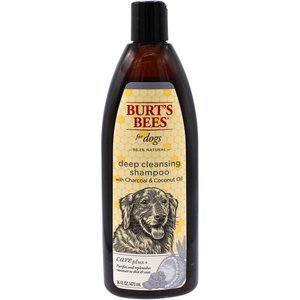 Burt's Bees Care Plus+ Deep Cleansing Charcoal & Coconut Oil Dog Shampoo, 16-oz bottle